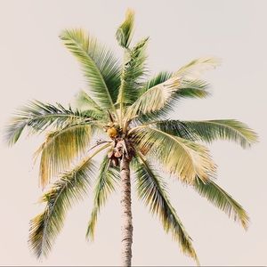 Meet your Posher, Marc